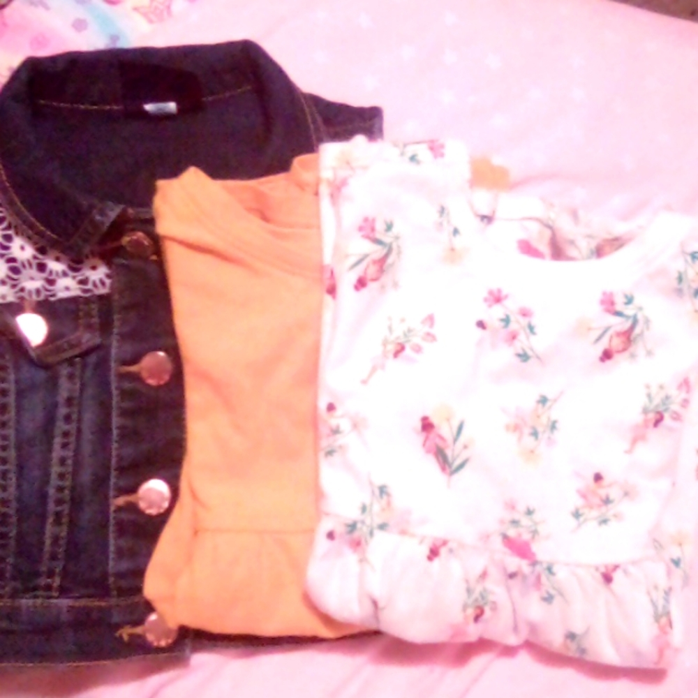 Toddler girls denim embroidered vest, two short sleeve dresses.